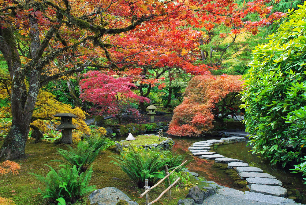 Japanese Gardens